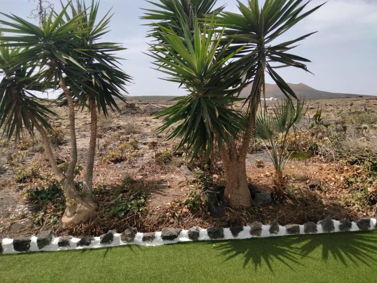 Lanzarote Casa Volcanica-Anclada Sobre La Lava Del Volcan Montana Blanca Dış mekan fotoğraf