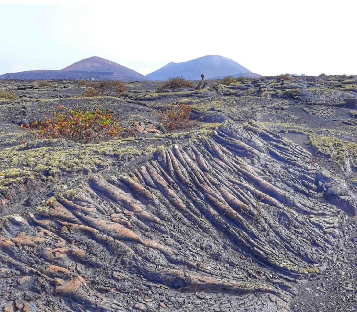 Lanzarote Casa Volcanica-Anclada Sobre La Lava Del Volcan Montana Blanca Dış mekan fotoğraf