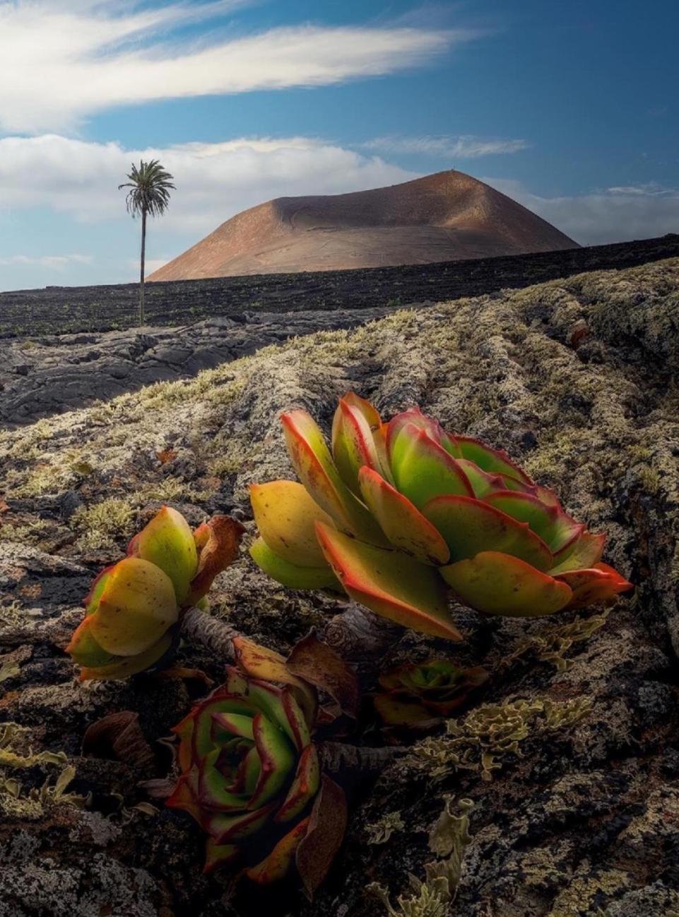 Lanzarote Casa Volcanica-Anclada Sobre La Lava Del Volcan Montana Blanca Dış mekan fotoğraf
